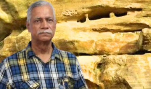 पत्थर के देवता- डॉ. नारायण व्यास: ये हैं समय, शिला और सभ्‍यता के मौन साधक